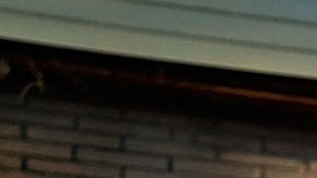 El NYPD ha reportado 48 asesinatos en los casi dos meses de lo que va del 2019.