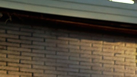 El NYPD ha reportado 48 asesinatos en los casi dos meses de lo que va del 2019.
