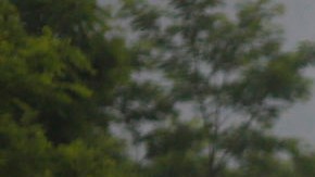 Transporte de carbón en West Virginia.