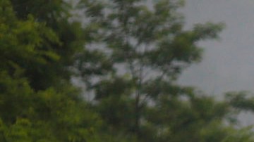 Transporte de carbón en West Virginia.