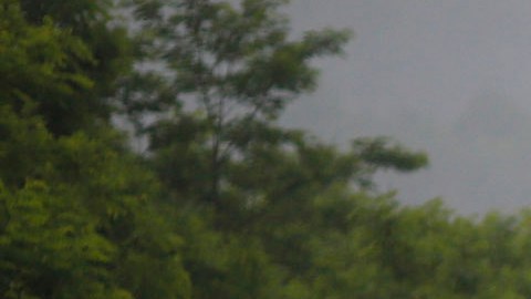 Transporte de carbón en West Virginia.