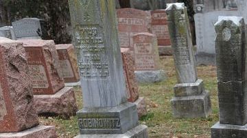 El leal perro se mantuvo junto a la tumba de su amo.