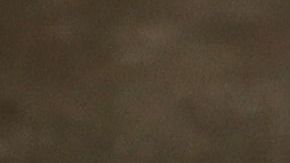 Donald Trump, presidente de los Estados Unidos.