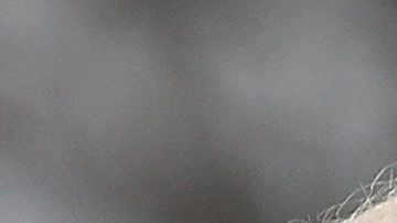 La torta de chocolate lleva 14 años congelada