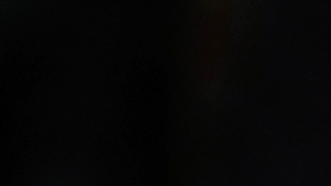 El presidente Trump durante habló frente al Congreso.