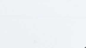 Shawn Mendes, músico y cantante canadiense.