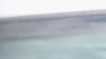 El Gobierno reconoce que no sabe cuántos niños separó de sus familias.