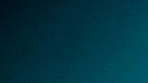 Los tiburones están en peligro de extinción.