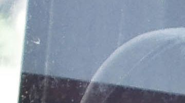 En un corto tiempo, el canino con el cuerpo sobrecalentado puede sufrir daños críticos en el cerebro, corazón, hígado, riñones y sistema nervioso