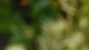 Gwyneth Paltrow "colgó las mallas".