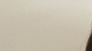 Hin Wong negoció con la fiscalía