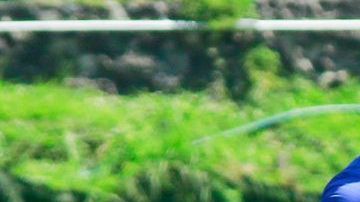 Pedro Caixinha y Ricardo Peláez fueron 'aplacados' por el presidente de Cruz Azul Guillermo Álvarez.