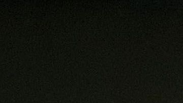 Miguel Herrera es actualmente el técnico del América