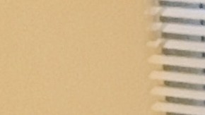 Alejandra Silva Exias es una de las abogadas voluntarias de Caridades Catolicas que se ha sumado al programa promovido por el Estado