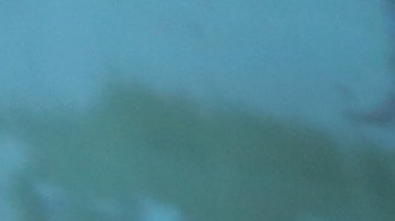 Miriam Farfán y Ana Ramirez aún no salen de su asombro tras homicidio de joven en estación del tren 7.