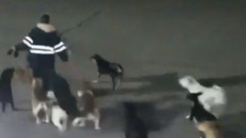 El ataque fue captado por cámaras de videovigilancia.