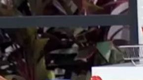 Andrea Legarreta en "Hoy"