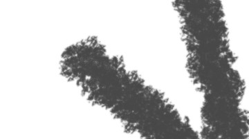 Hay que saber liderar.