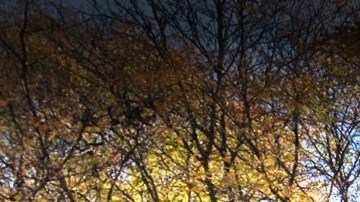 Louis Armstrong Houses, Bed-Stuy