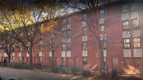 Louis Armstrong Houses, Bed-Stuy