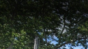 Neir's Tavern, en Woodhaven