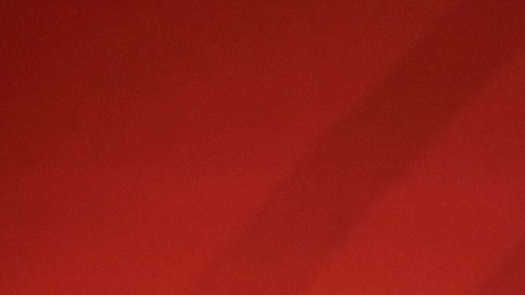 El presidente mexicano podría vetar la reforma que discute el Senado.