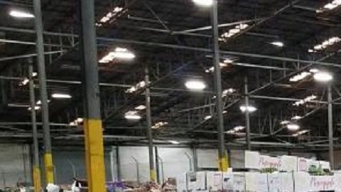 La cocaína iba escondida en el cargamento de piñas.