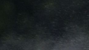 Cada año cientos de personas personas trabajan en el detrás de cámara para llevar a cabo la ceremonia de los Óscar.