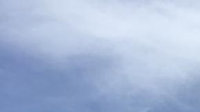 Los esposos Rosy Idi y Jaime Asher en el patio de su hogar.