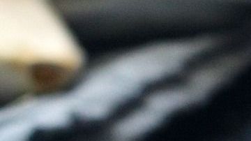 Jamás volverás a dejar pasta fuera del refrigerador.