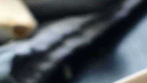 Jamás volverás a dejar pasta fuera del refrigerador.