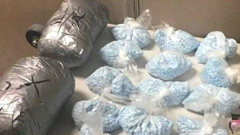 Los agentes encontraron 14 bolsas que contenían cada una 1,000 pastillas azules.