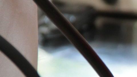 pexels-photo-220723