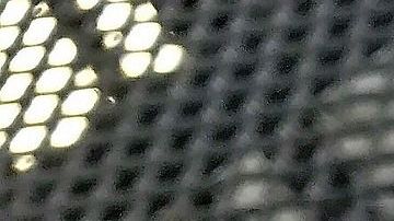 raspberry-cheesecake-2806255_1920