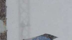 Tormenta de nieve