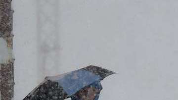 Tormenta de nieve
