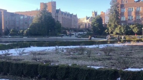 La fuente Drumheller en el campus de UW.