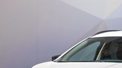 shutterstock_1028810071