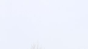 shutterstock_1034794519