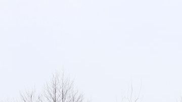 shutterstock_1034794519