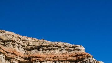 shutterstock_1067309933