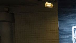 shutterstock_1069146404