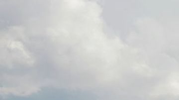 shutterstock_1132885754