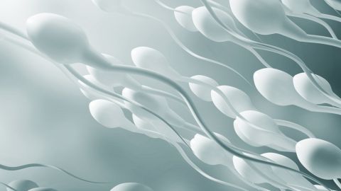 esperma