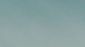 shutterstock_1174394467