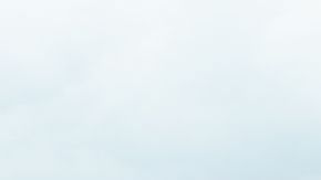 shutterstock_1213867702