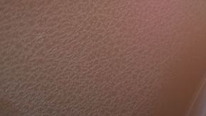 shutterstock_1274762206