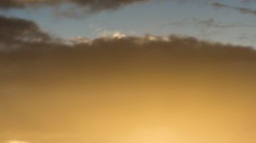 shutterstock_1279386865