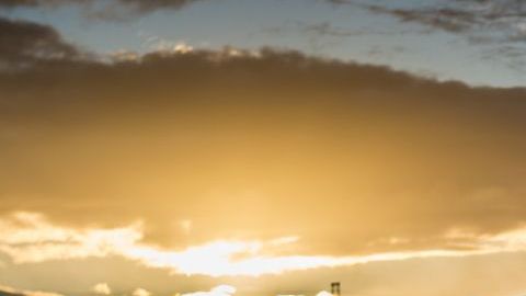 shutterstock_1279386865