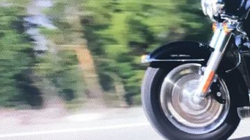 shutterstock_1281969064